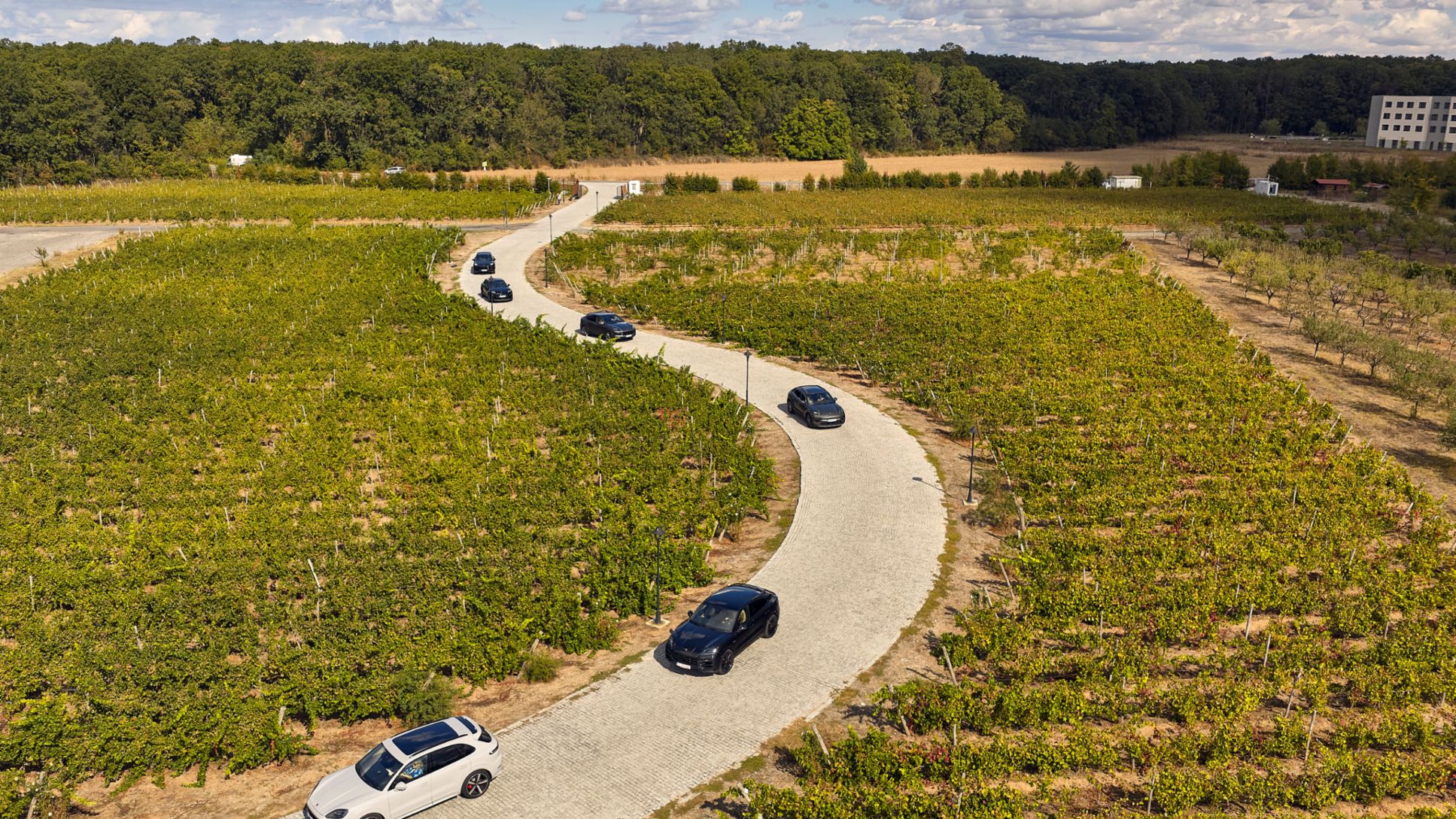 Autumn Ladies Drive, comunicat de presă,  01/10/2025, Porsche AG
