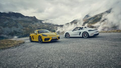 718 Cayman GT4, 2019, Porsche AG