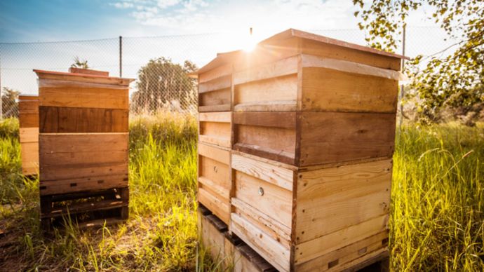 Offroad-Gelände Leipzig, 2017, Porsche AG